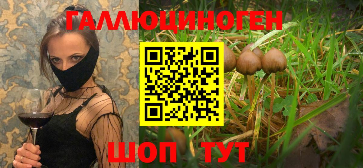 Псилоцибиновые грибы мицелий Таганрог