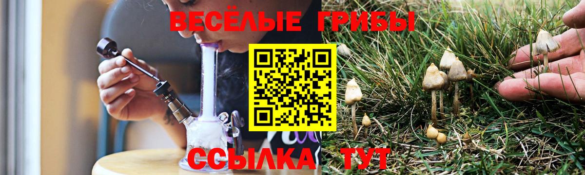 Галлюциногенные грибы Cubensis  Вход с VPN  Галлюциногенные грибы ЛСД  Таганрог 